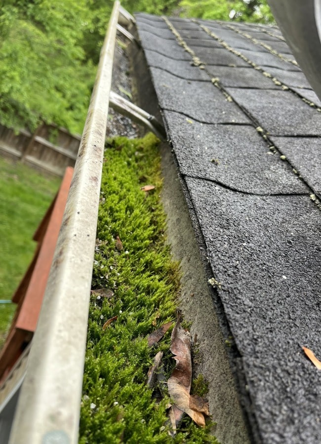 Gutter Cleaning Service near me Waldorf MD 04